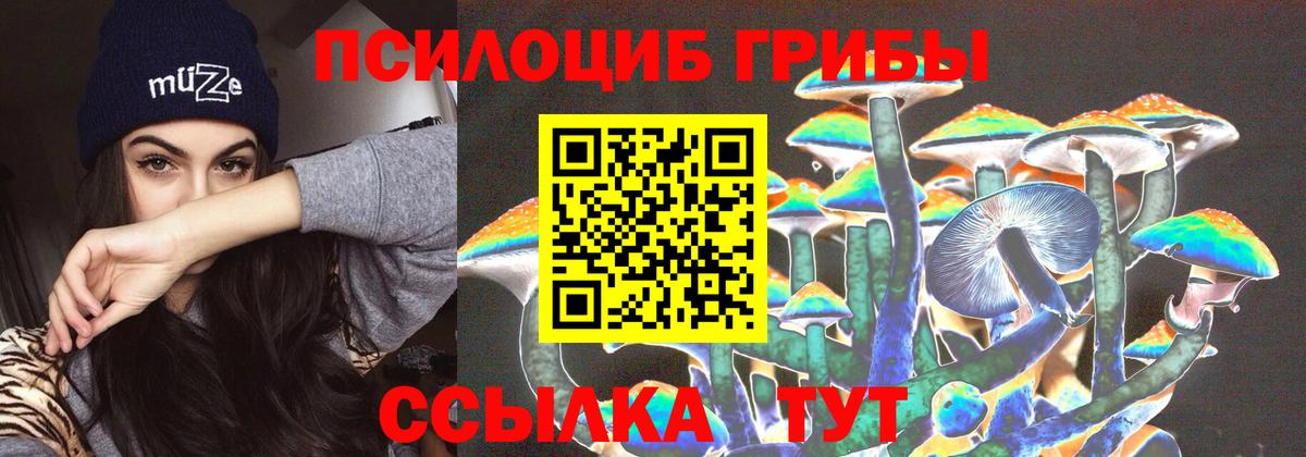 Галлюциногенные грибы MAGIC MUSHROOMS Славгород