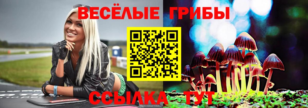 Псилоцибиновые грибы MAGIC MUSHROOMS  Вход с VPN  Славгород 