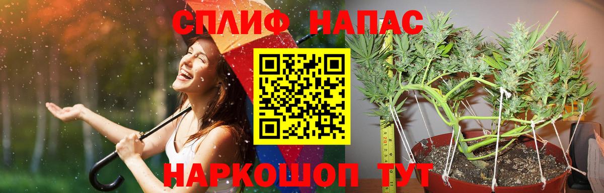 Марихуана индика Славгород